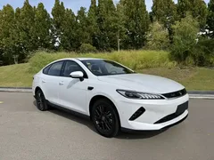 2025 BYD Qin PLUS EV Smart Driving 420km Leading, белый — фото 6