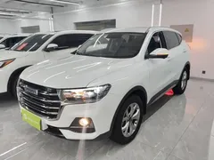 2021 Haval H6 1.5GDIT AT Guochao Champion, белый — фото 2