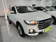 2021 Haval H6 1.5GDIT AT Guochao Champion, белый — фото 4