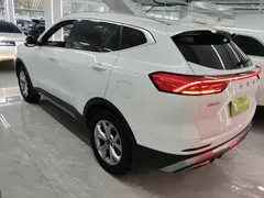 2021 Haval H6 1.5GDIT AT Guochao Champion, белый — фото 5