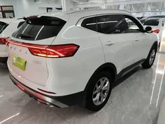 2021 Haval H6 1.5GDIT AT Guochao Champion, белый — фото 7