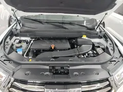 2021 Haval H6 1.5GDIT AT Guochao Champion, белый — фото 20