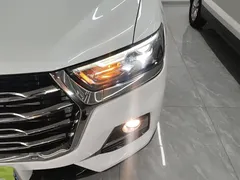 2021 Haval H6 1.5GDIT AT Guochao Champion, белый — фото 24