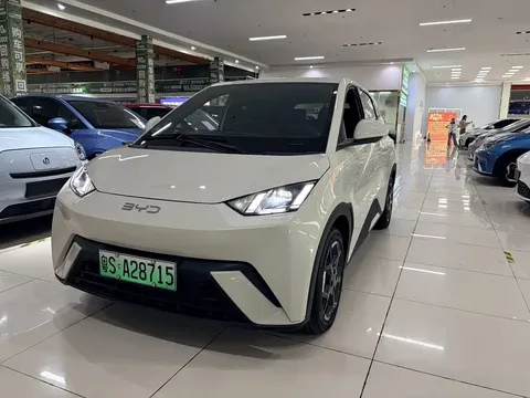 2023 BYD Seagull Freedom