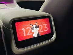 2025 Xiaomi YU7 4WD Pro — фото 15
