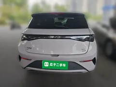 2025 BYD Dolphin Smart Driving 420km Freedom EV — фото 3