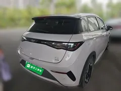 2025 BYD Dolphin Smart Driving 420km Freedom EV — фото 4