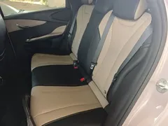2025 BYD Dolphin Smart Driving 420km Freedom EV — фото 13