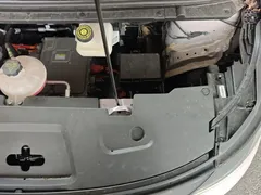 2025 BYD Dolphin Smart Driving 420km Freedom EV — фото 22
