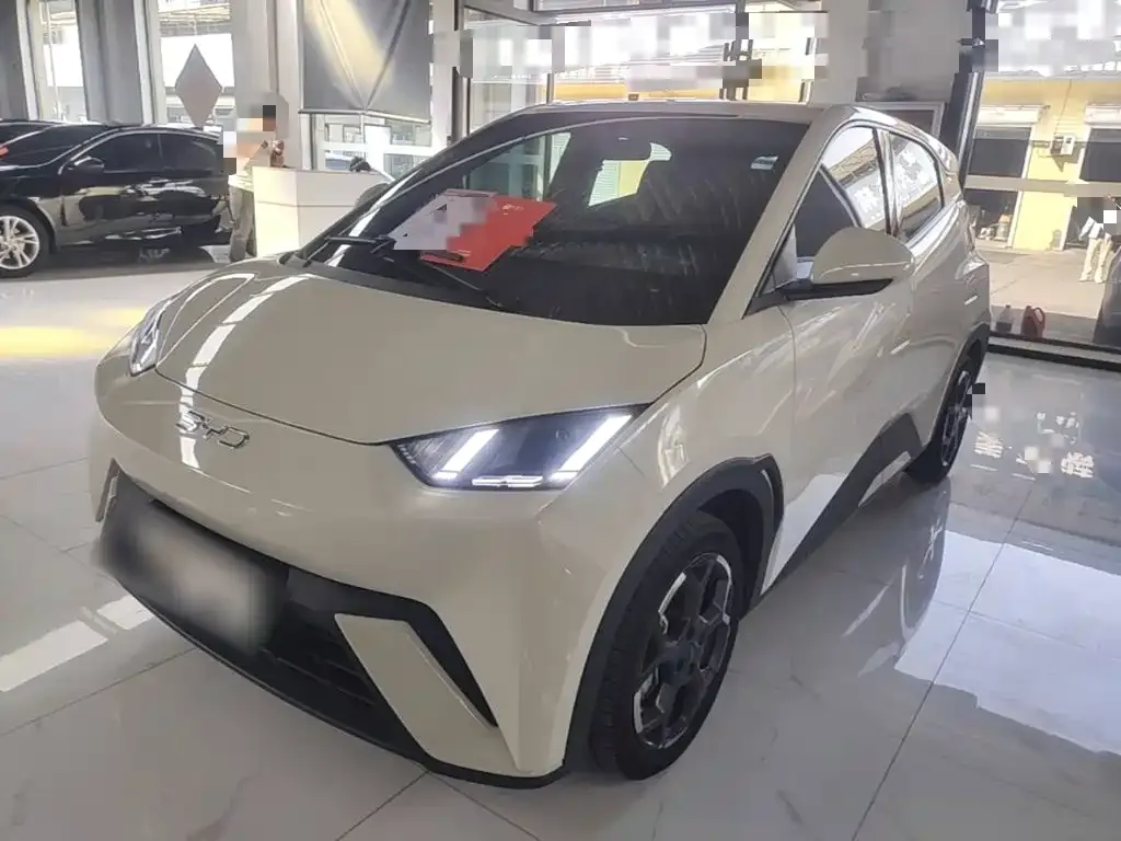 2025 BYD Seagull 305km Freedom