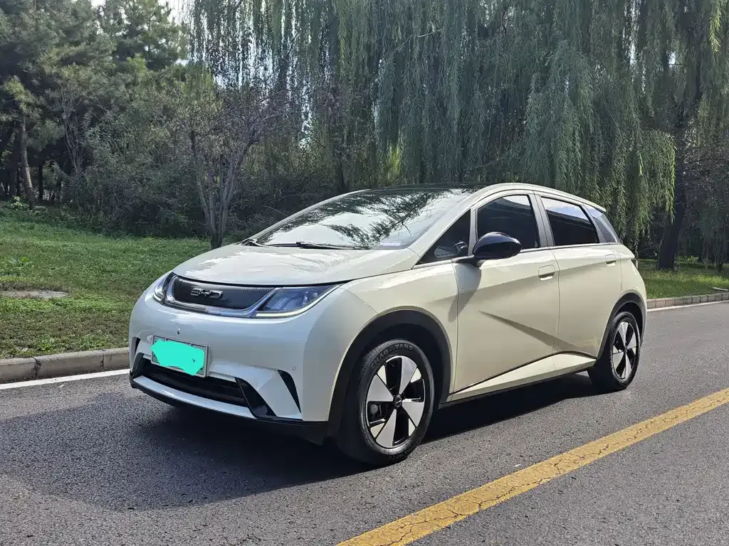2023 BYD Dolphin 420km Fashion