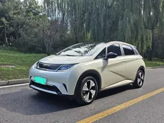 2023 BYD Dolphin 420km Fashion, белый — фото 1