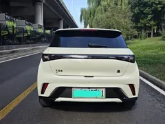 2023 BYD Dolphin 420km Fashion, белый — фото 3