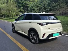2023 BYD Dolphin 420km Fashion, белый — фото 4