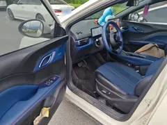 2025 BYD Seagull Smart Driving 305km Freedom, белый — фото 17