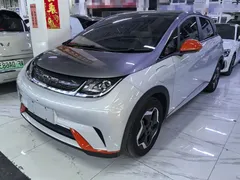 2021 BYD Dolphin 405km Fashion — фото 1