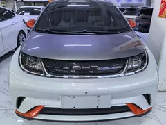 2021 BYD Dolphin 405km Fashion — фото 2