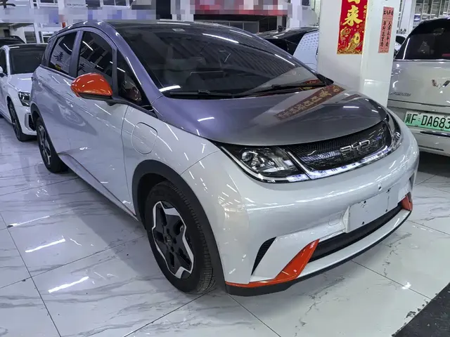 2021 BYD Dolphin 405km Fashion