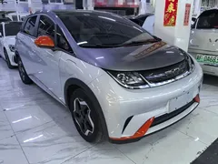 2021 BYD Dolphin 405km Fashion — фото 3