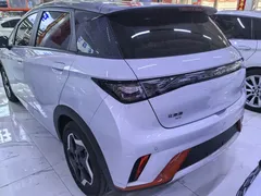 2021 BYD Dolphin 405km Fashion — фото 4