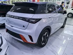 2021 BYD Dolphin 405km Fashion — фото 6