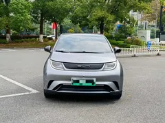 2023 BYD Dolphin 420km Freedom — фото 2