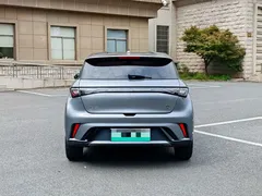 2023 BYD Dolphin 420km Freedom — фото 5