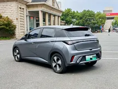 2023 BYD Dolphin 420km Freedom — фото 6