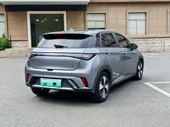 2023 BYD Dolphin 420km Freedom — фото 7