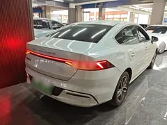 2024 BYD Qin PLUS EV 510km Excellence, белый — фото 7