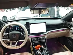 2024 BYD Qin PLUS EV 510km Excellence, белый — фото 10