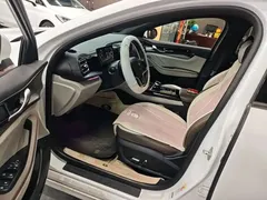 2024 BYD Qin PLUS EV 510km Excellence, белый — фото 16