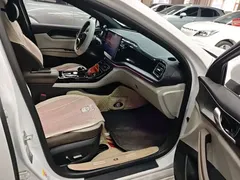 2024 BYD Qin PLUS EV 510km Excellence, белый — фото 25