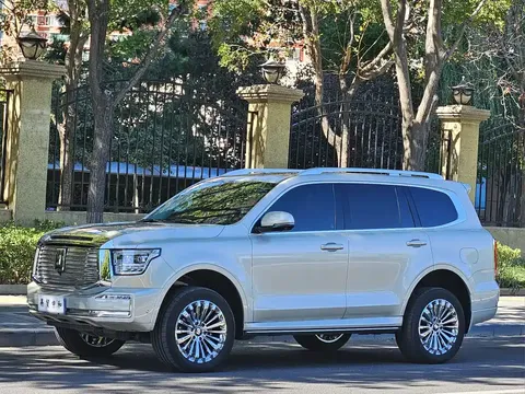 2023 Tank 500 3.0T Business 5-seat