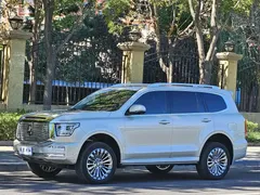 2023 Tank 500 3.0T Business 5-seat — фото 1