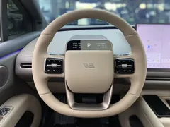 2025 Li Auto i6 2WD Standard — фото 17
