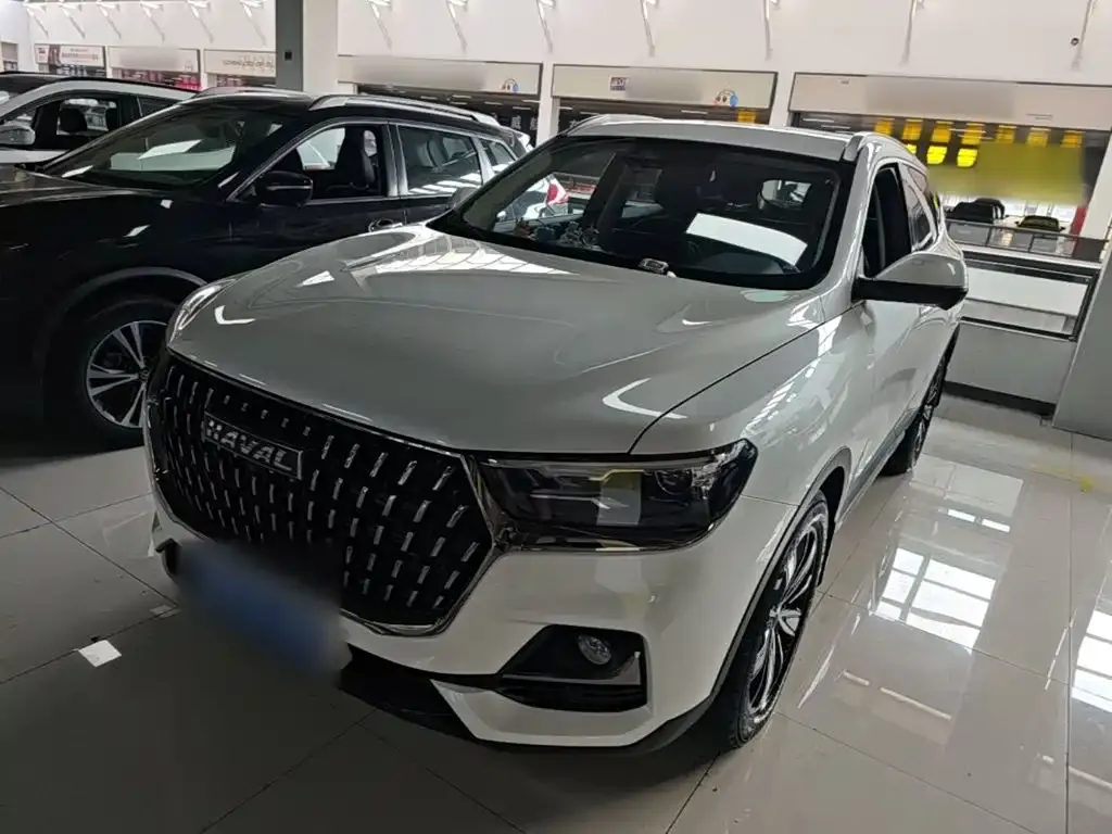 2023 Haval H6 1.5T AT Guochao Champion