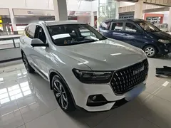 2023 Haval H6 1.5T AT Guochao Champion, белый — фото 4