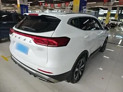 2023 Haval H6 1.5T AT Guochao Champion, белый — фото 7
