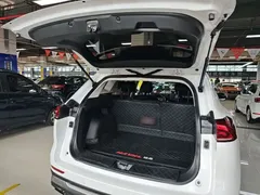 2023 Haval H6 1.5T AT Guochao Champion, белый — фото 19