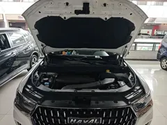 2023 Haval H6 1.5T AT Guochao Champion, белый — фото 20