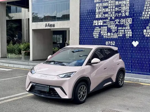 2023 BYD Seagull Vitality
