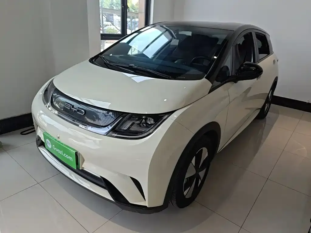 2023 BYD Dolphin 420km Freedom