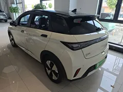 2023 BYD Dolphin 420km Freedom — фото 5