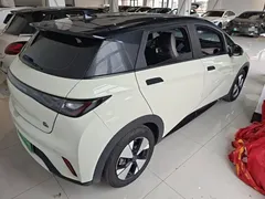 2023 BYD Dolphin 420km Freedom — фото 7
