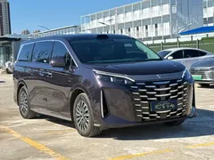 2026 BYD Xia DM-i PHEV 1.5T 218km Excellence — фото 3