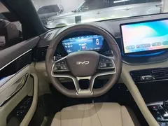 2025 BYD Song PLUS DM-i 112KM PHEV Premium — фото 11