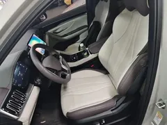 2025 BYD Song PLUS DM-i 112KM PHEV Premium — фото 15
