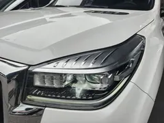 2022 Haval H9 2.0T 4WD Premium 5, белый — фото 24