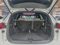 2025 BYD Tang PHEV DM-i 115KM Smart Driving Premium, белый — фото 11
